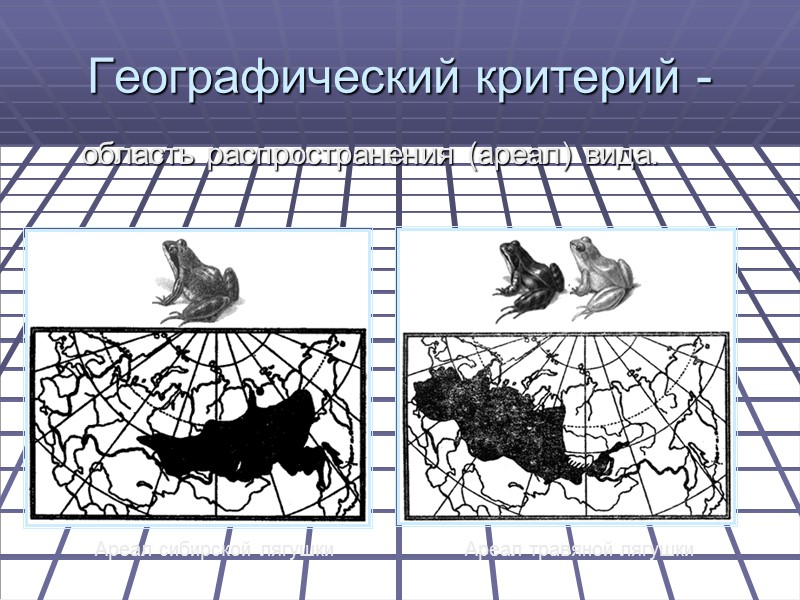 Географический критерий -     область распространения (ареал) вида. Ареал сибирской лягушки